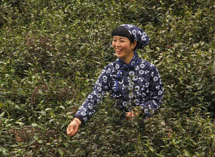 热舞直播间